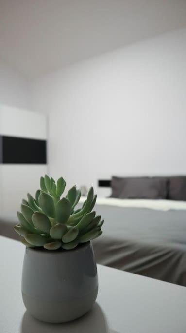 Modern Apartment In The Center Of Prag Eksteriør billede